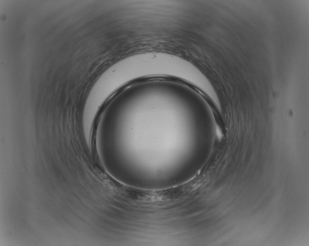 X0000070200276200605301345