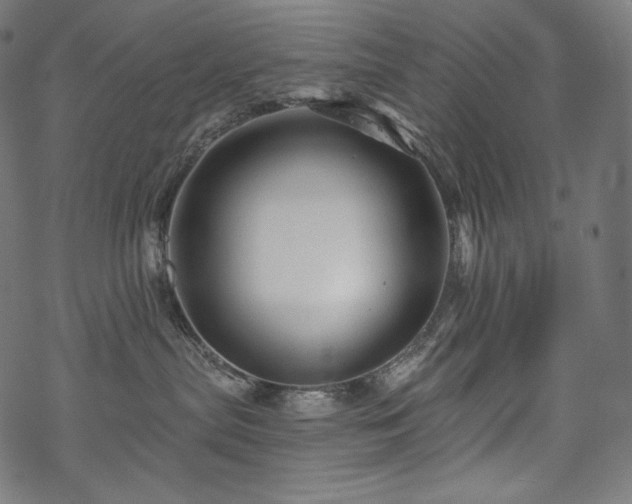 X0000070200287200605301345