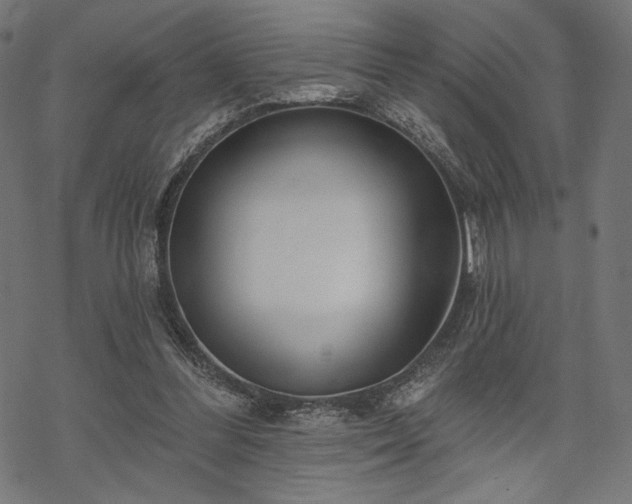 X0000070200300200605301344