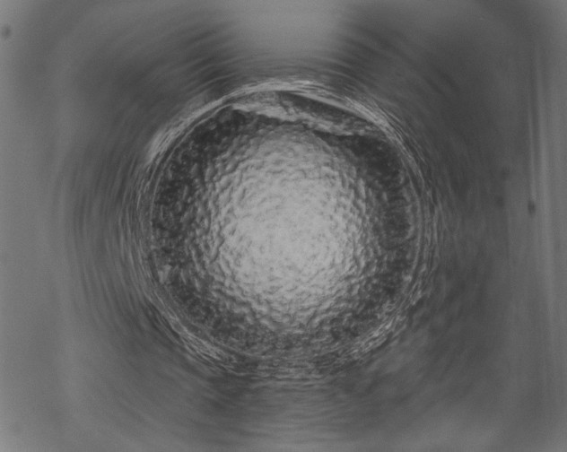 X0000070200337200605301343