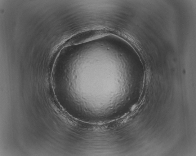 X0000070200345200605301343