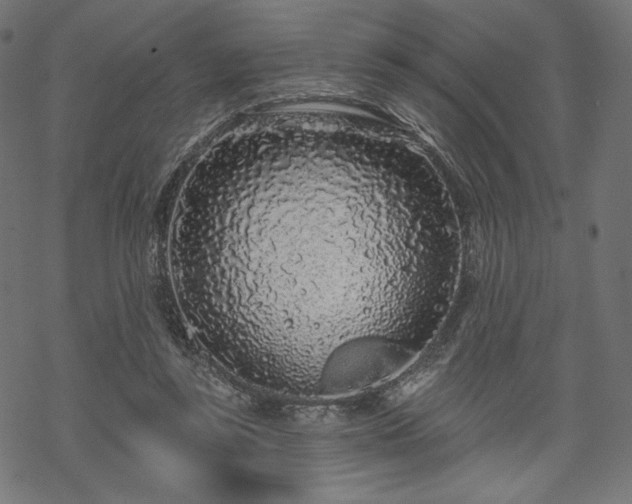 X0000070200355200605301343