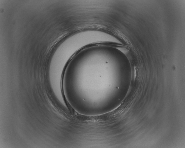 X0000070200356200605301343