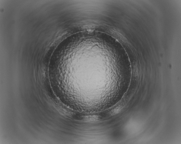 X0000070200363200605301343