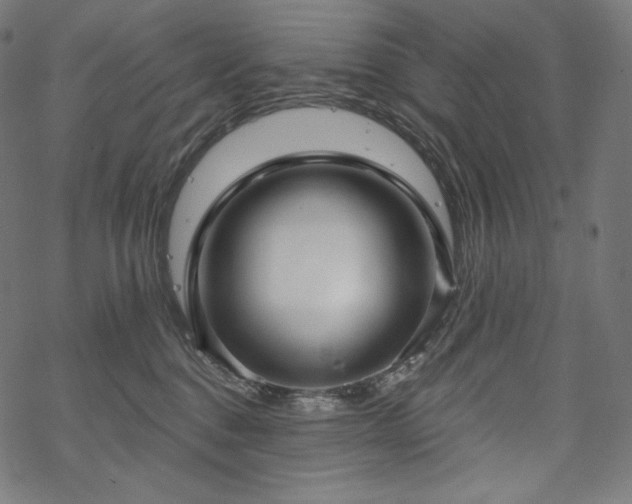 X0000070200376200605301343