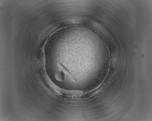 X0000070200410200605301342