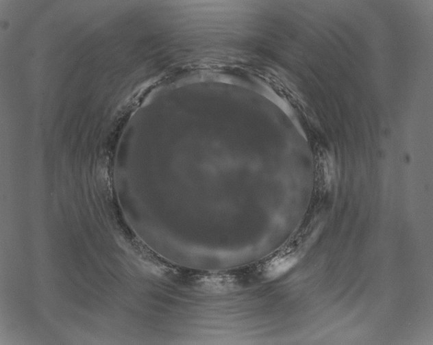 X0000070200415200605301342