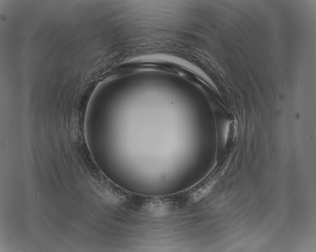 X0000070200416200605301342