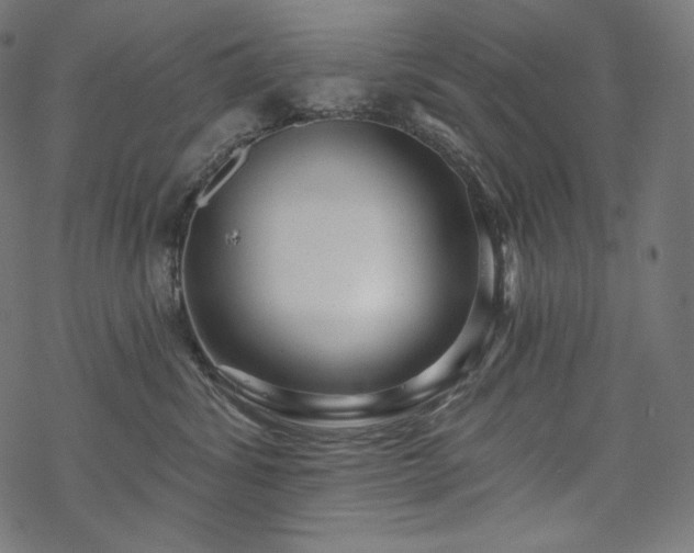 X0000070200428200605301342