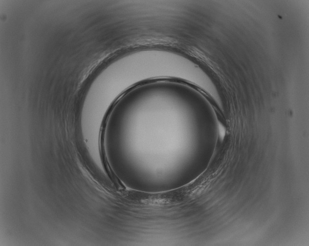 X0000070200448200605301341