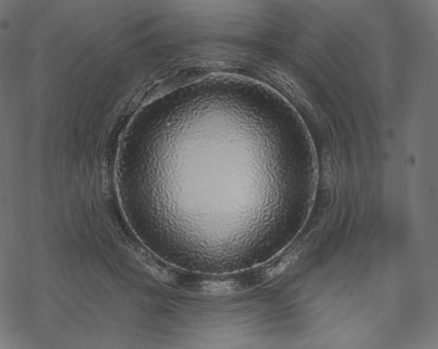 X0000070200457200605301342