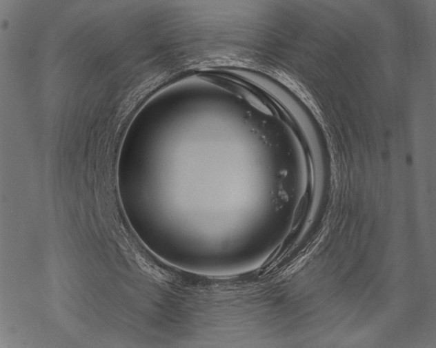 X0000070200481200605301341