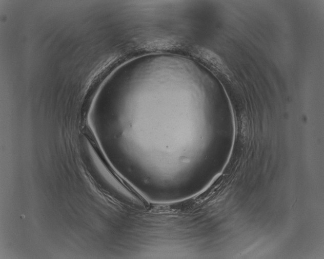 X0000070200491200605301341