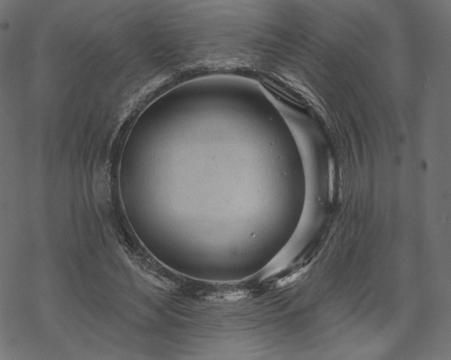 X0000070200492200605301341