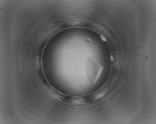 X0000070200510200605301341