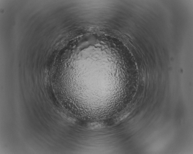 X0000070200511200605301341