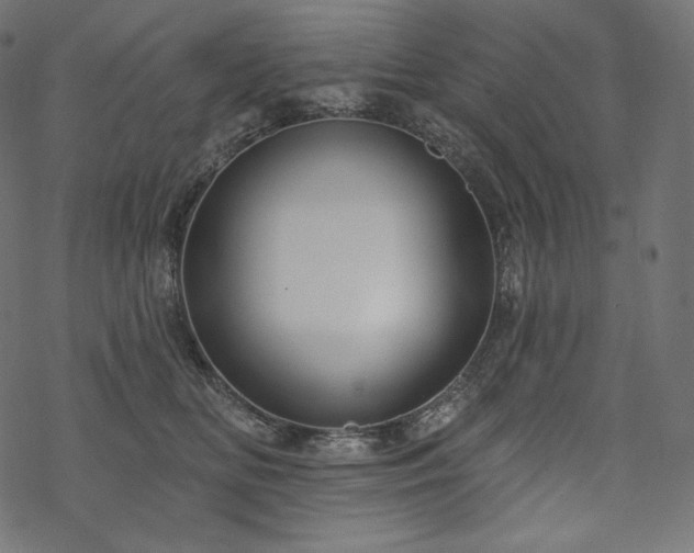 X0000070200518200605301341
