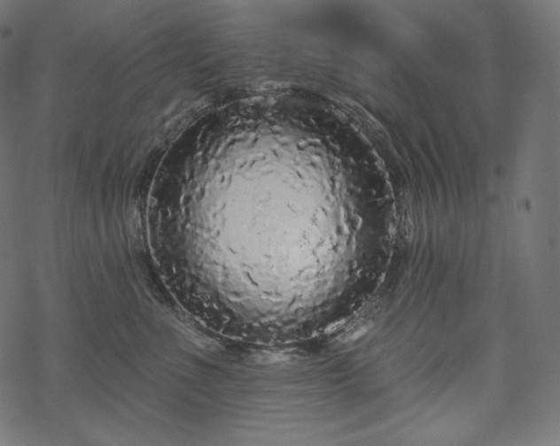 X0000070200523200605301340