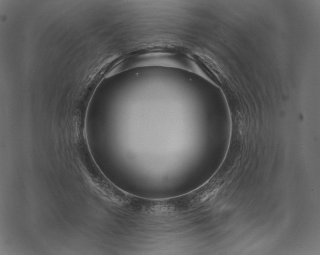 X0000070200546200605301340