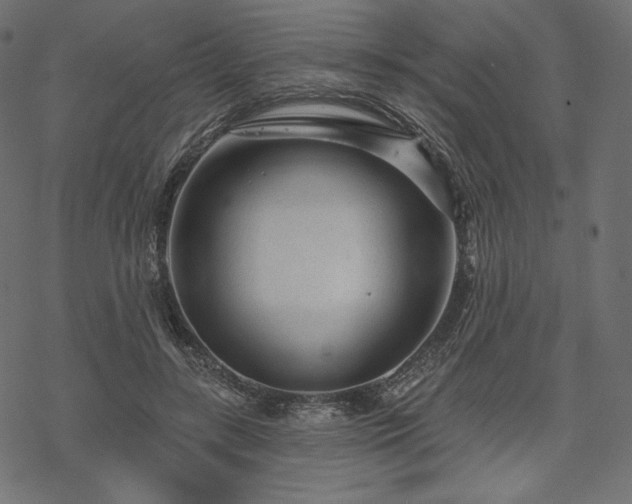 X0000070200547200605301340