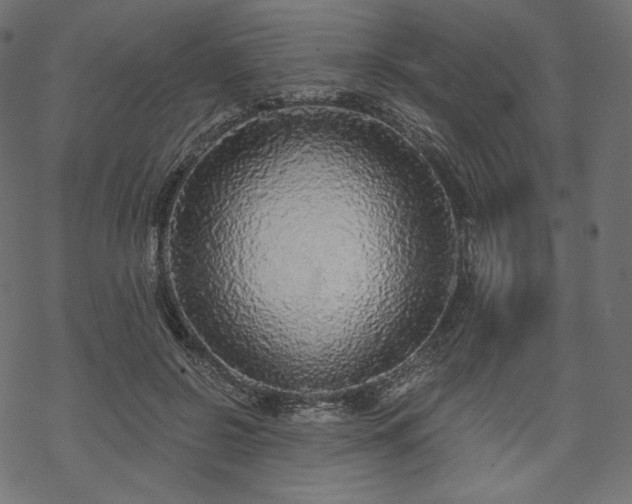 X0000070200550200605301340