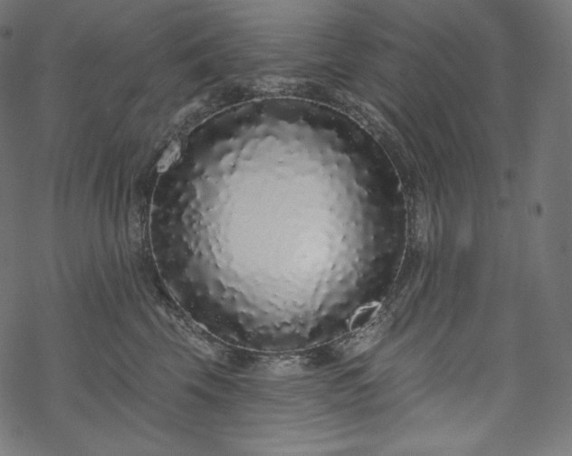X0000070200569200605301340