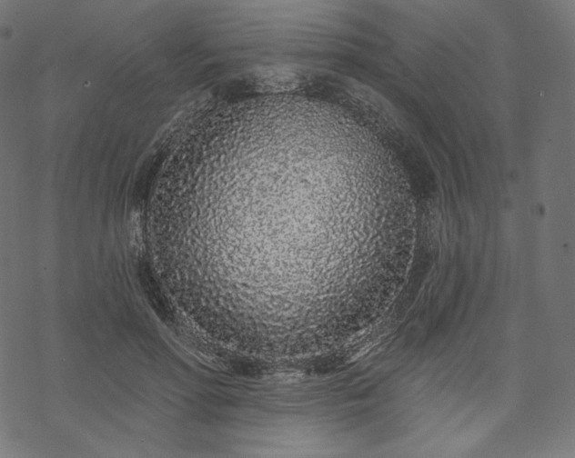 X0000070200598200605301339