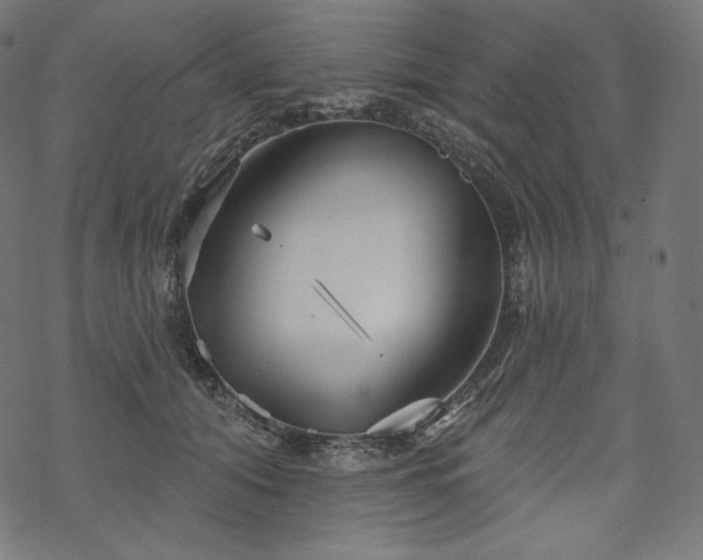 X0000070200608200605301339