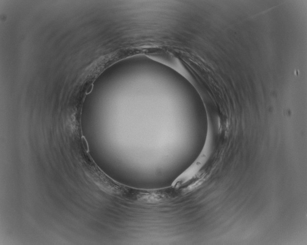 X0000070200611200605301339