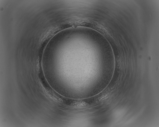 X0000070200642200605301338