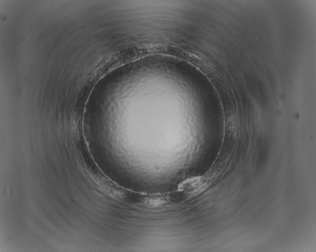 X0000070200662200605301339