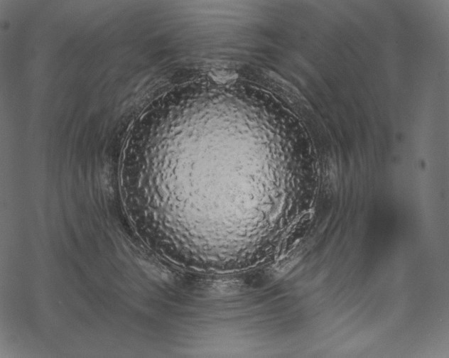 X0000070200663200605301339