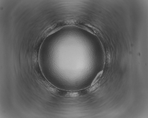 X0000070200665200605301339