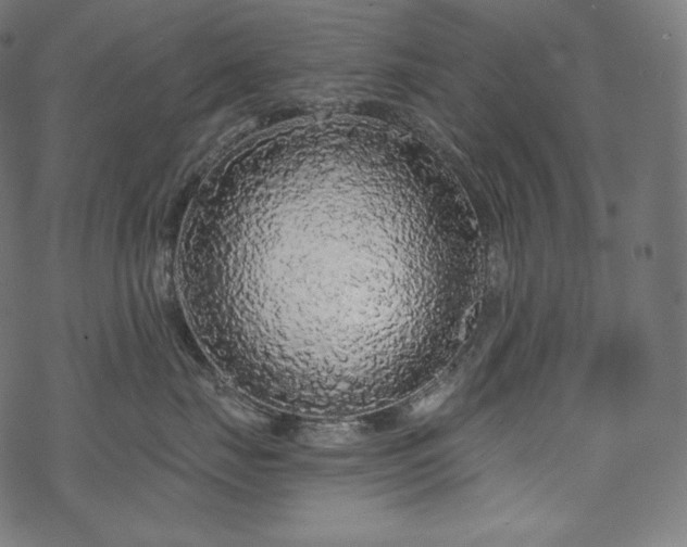 X0000070200671200605301339