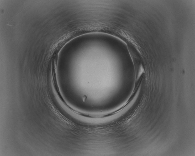 X0000070200681200605301338