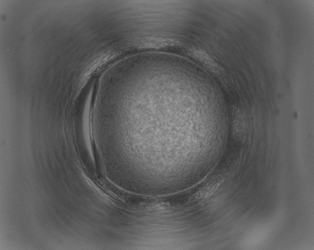X0000070200683200605301338
