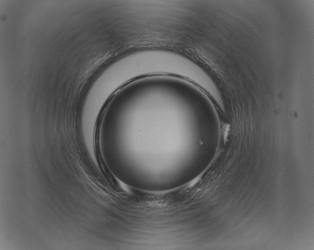 X0000070200692200605301338