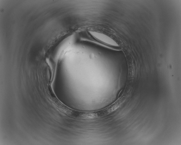 X0000070200711200605301337