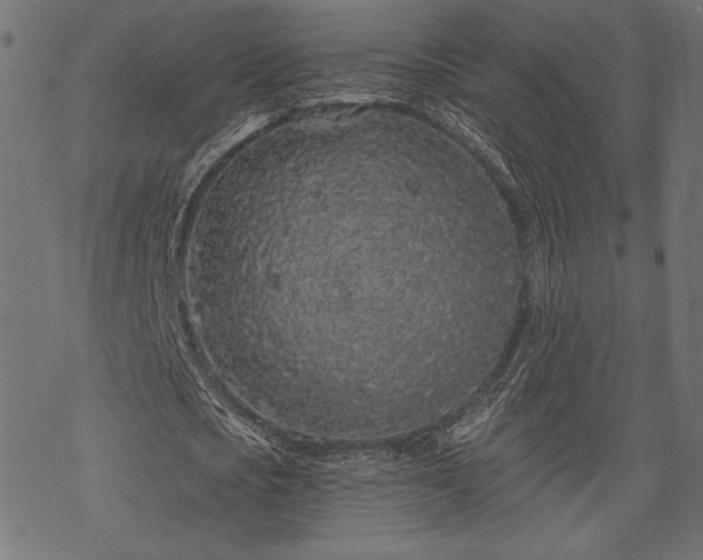 X0000070200721200605301337