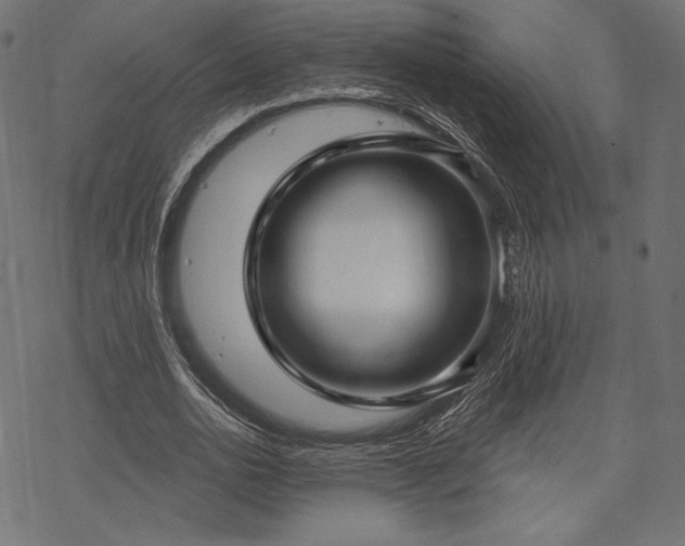 X0000070200726200605301337