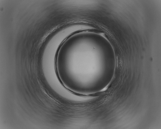 X0000070200732200605301337