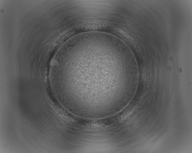 X0000070200737200605301337