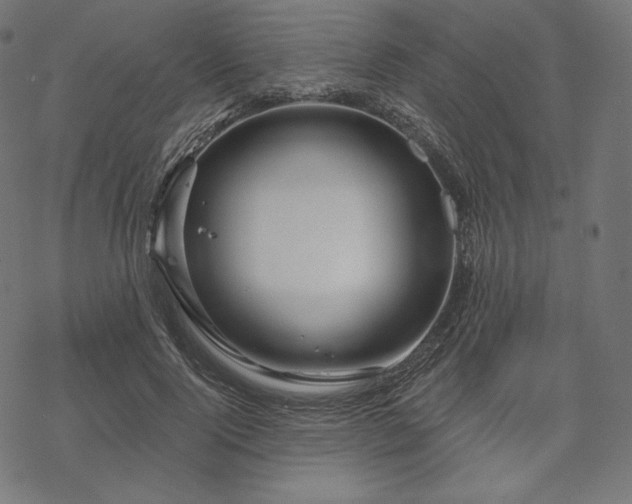 X0000070200740200605301337
