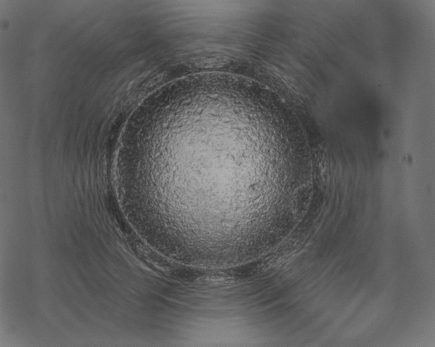 X0000070200745200605301337