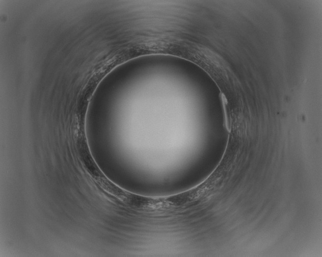 X0000070200752200605301337