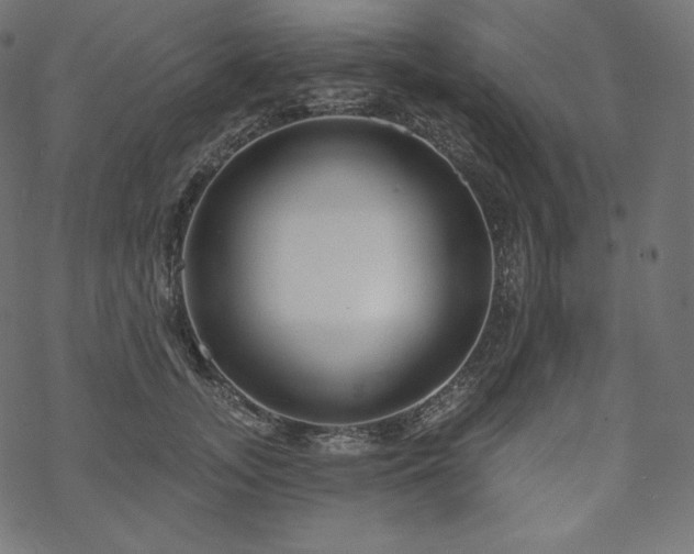 X0000070200755200605301337