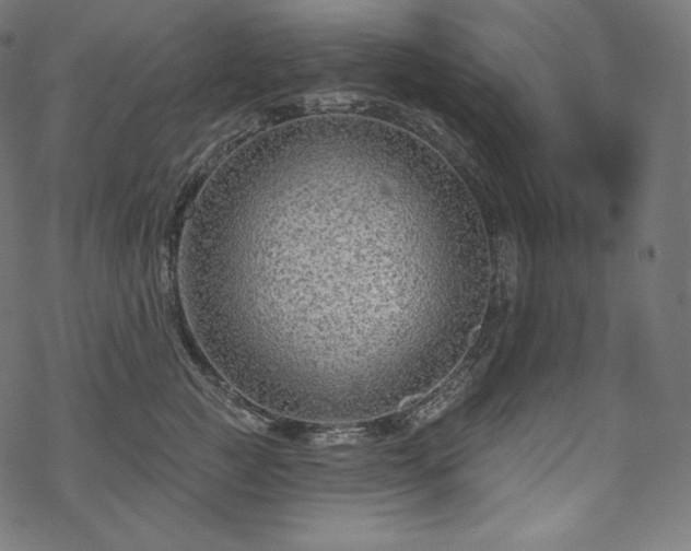 X0000070200761200605301337