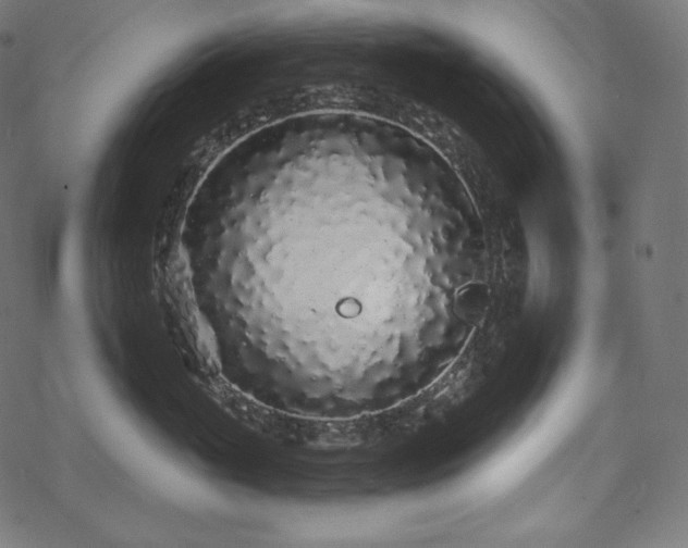 X0000070200765200605301337