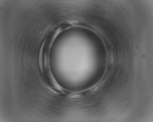 X0000070200766200605301337