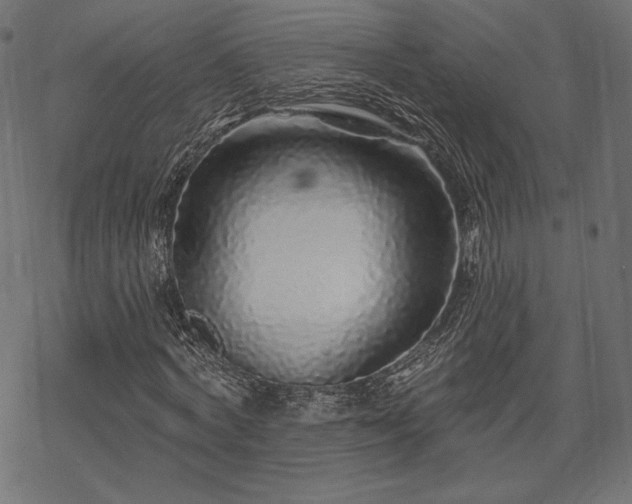 X0000070200772200605301336